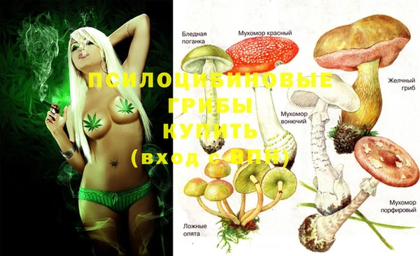 гашиш Горнозаводск