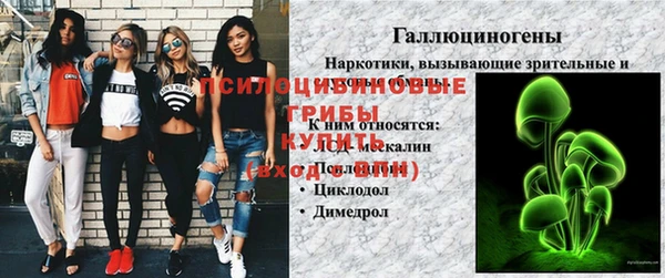 круглые Горно-Алтайск