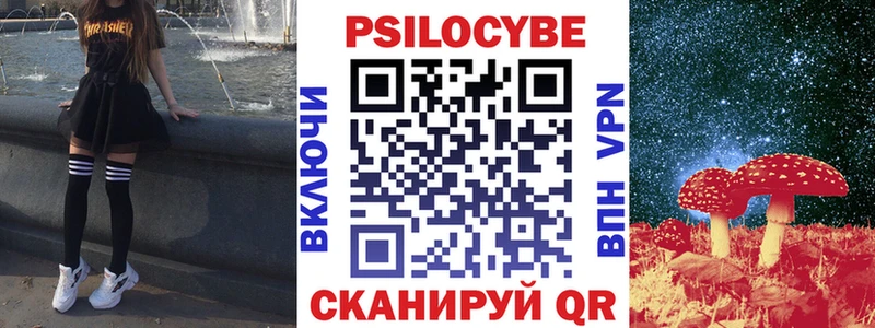 дарнет шоп  Чистополь  Псилоцибиновые грибы Psilocybine cubensis 